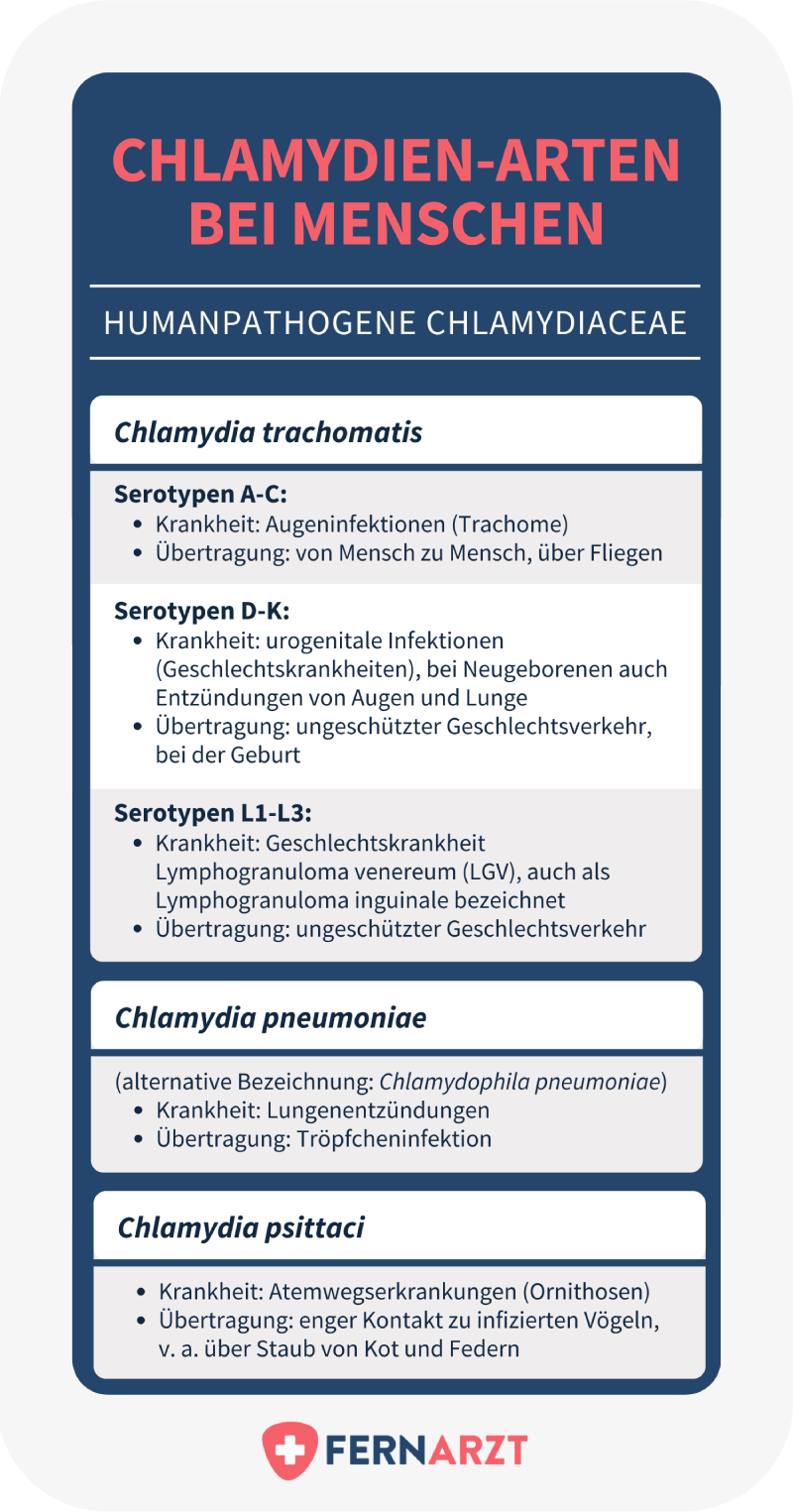 sexspielzeug chlamydien How Often Should You Wash Your Sex Toys? main image 1