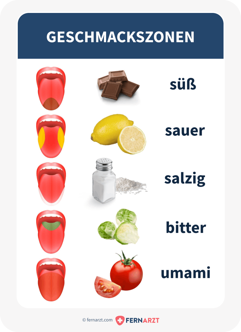 Die fünf verschiedenen Geschmäcker süß, sauer, salzig, bitter und umami werden an verschiedenen Zonen der Zunge wahrgenommen.