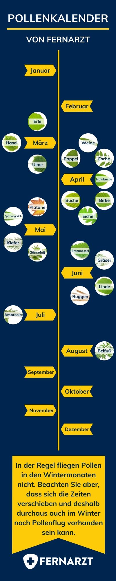 Übersichtliche Darstellung in welchem Monat welche Pollen verstärkt in der Luft sind.