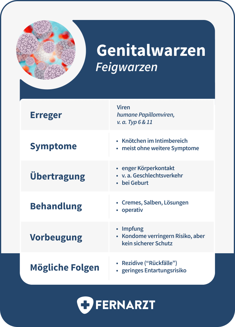 Fernarzt Studienreihe 2021 Teil 2: Geschlechtskrankheiten in Deutschland. Abbildung 3G: Lernkarte Genitalwarzen/Feigwarzen.