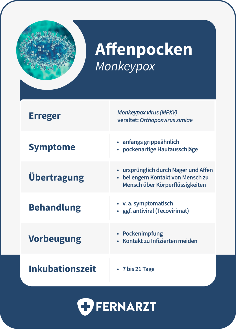 Fakten zu Affenpocken: Erreger, Symptome, Übertragung, Behandlung, Vorbeugung und Inkubationszeit.