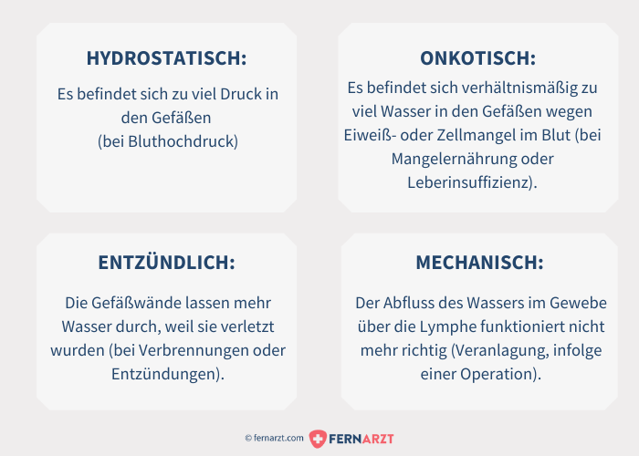 Verschiedene Ursachen von Ödemen bzw. Wassereinlagerungen: hydrostatisch, onkostatisch, entzündlich, mechanisch.