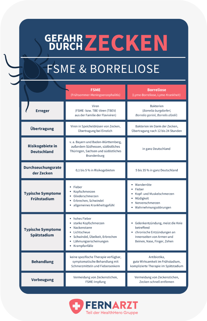 Gefahr durch Zecken: Vergleich von FSME und Borreliose.