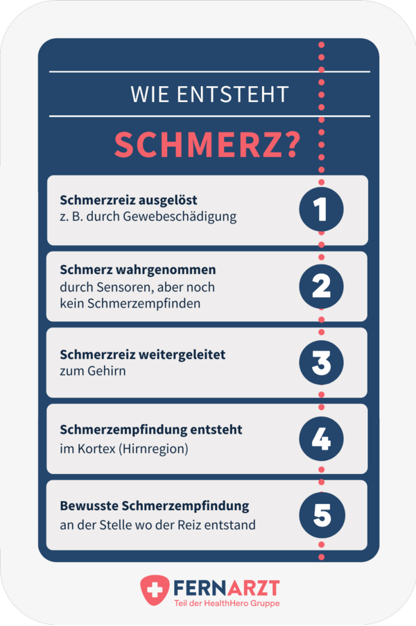 Infografik zur Entstehung von Schmerz.