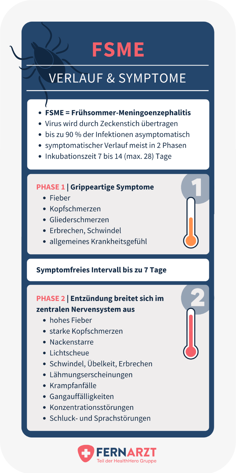 Frühsommer-Meningoenzephalitis (FSME): typischer Verlauf und Symptome.