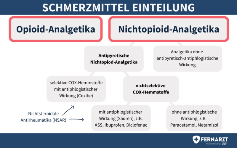 Schmerzmittel: Einteilung in Opioid-Analgetika und Nichtopioid-Analgetika.