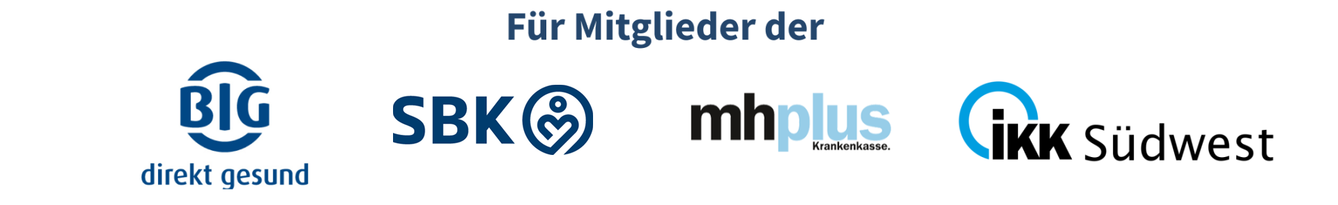Logos-mitglieder-big-mhplus-sbk-ikksw