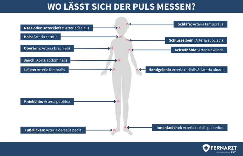 An welchen Körperstellen lässt sich der Puls messen?