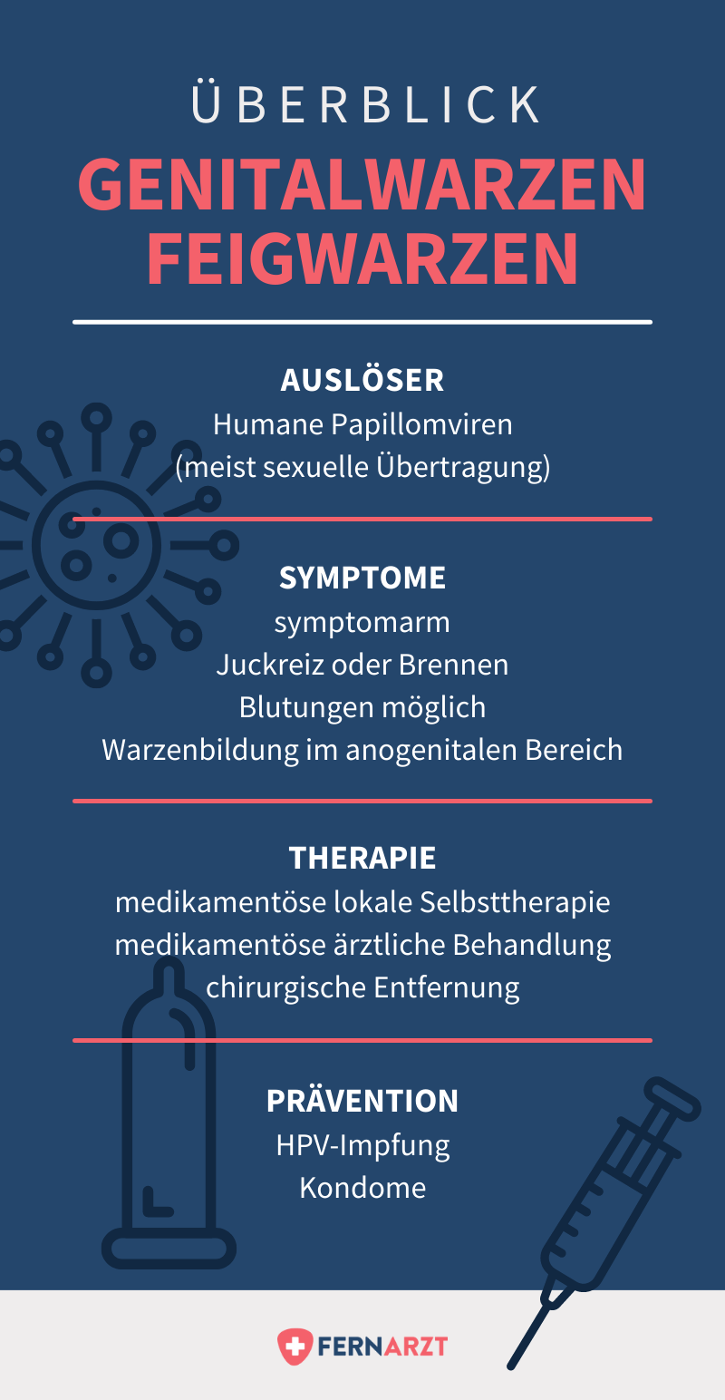 Infografik: Überblick Genitalwarzen Feigwarzen. Auslöser, Symptome, Therapie, Prävention.