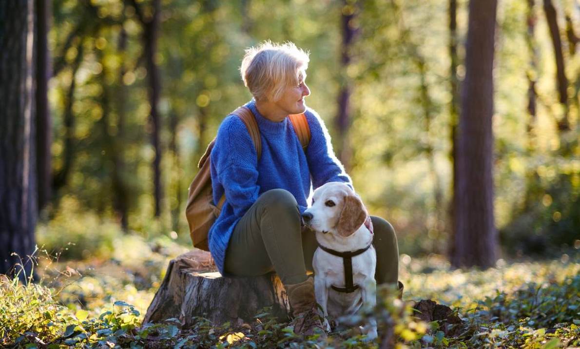 Eine ältere Frau sitzt auf einem Baumstamm im Wald, neben ihr steht ihr Hund.