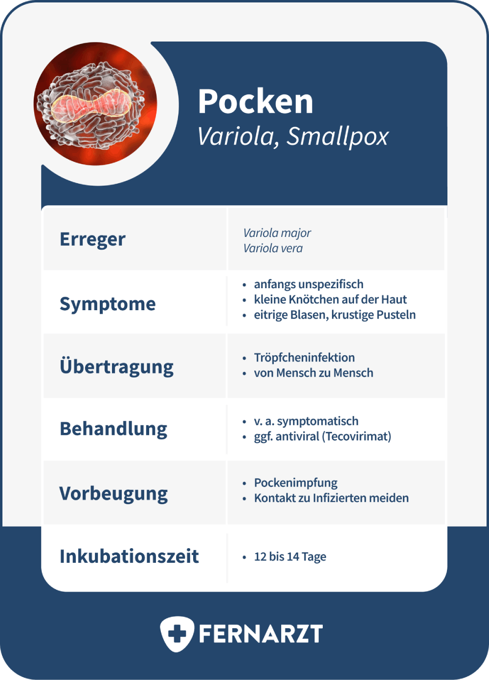 Fakten zu Pocken: Erreger, Symptome, Übertragung, Behandlung, Vorbeugung und Inkubationszeit.