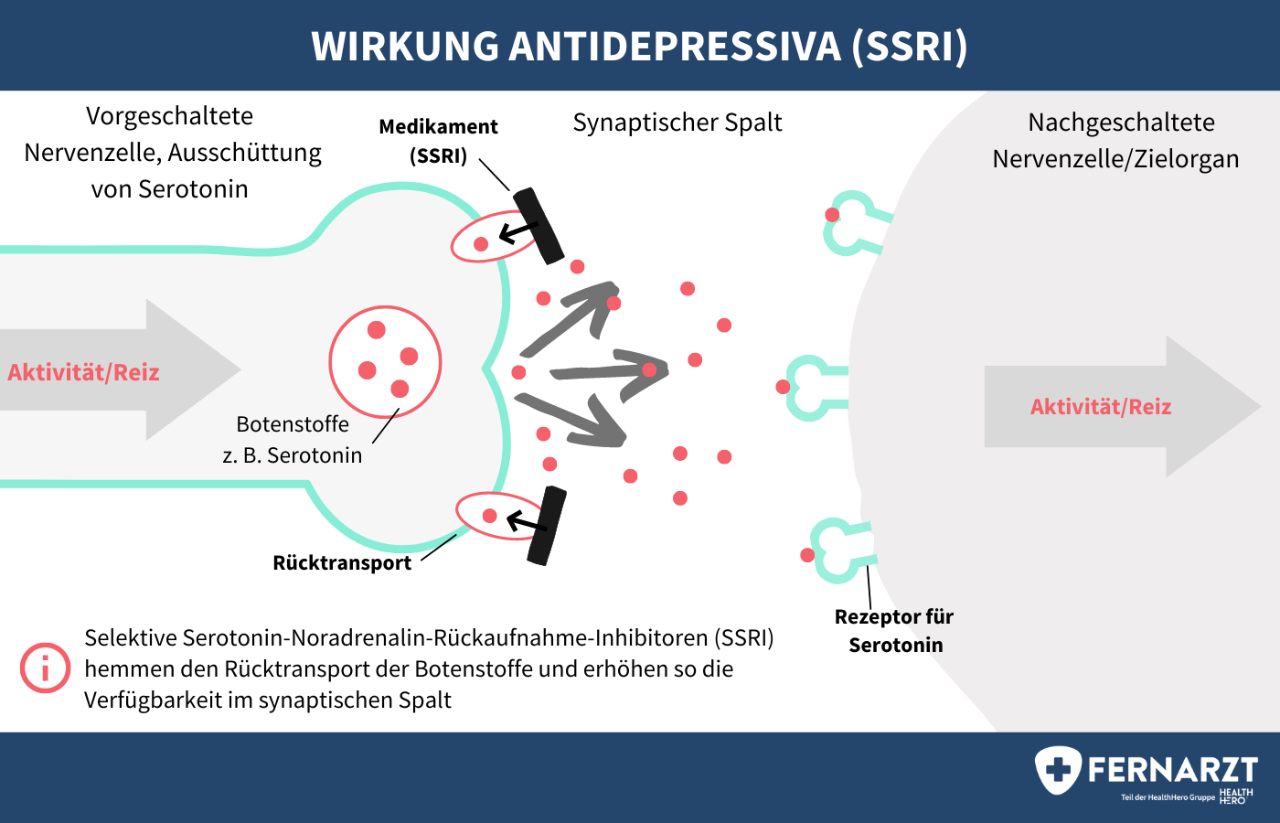 Wirkmechanismus von Antidepressiva. Schematische Darstellung der Wirkung von selektiven Serotonin-Wiederaufnahme-Hemmer (SSRI).