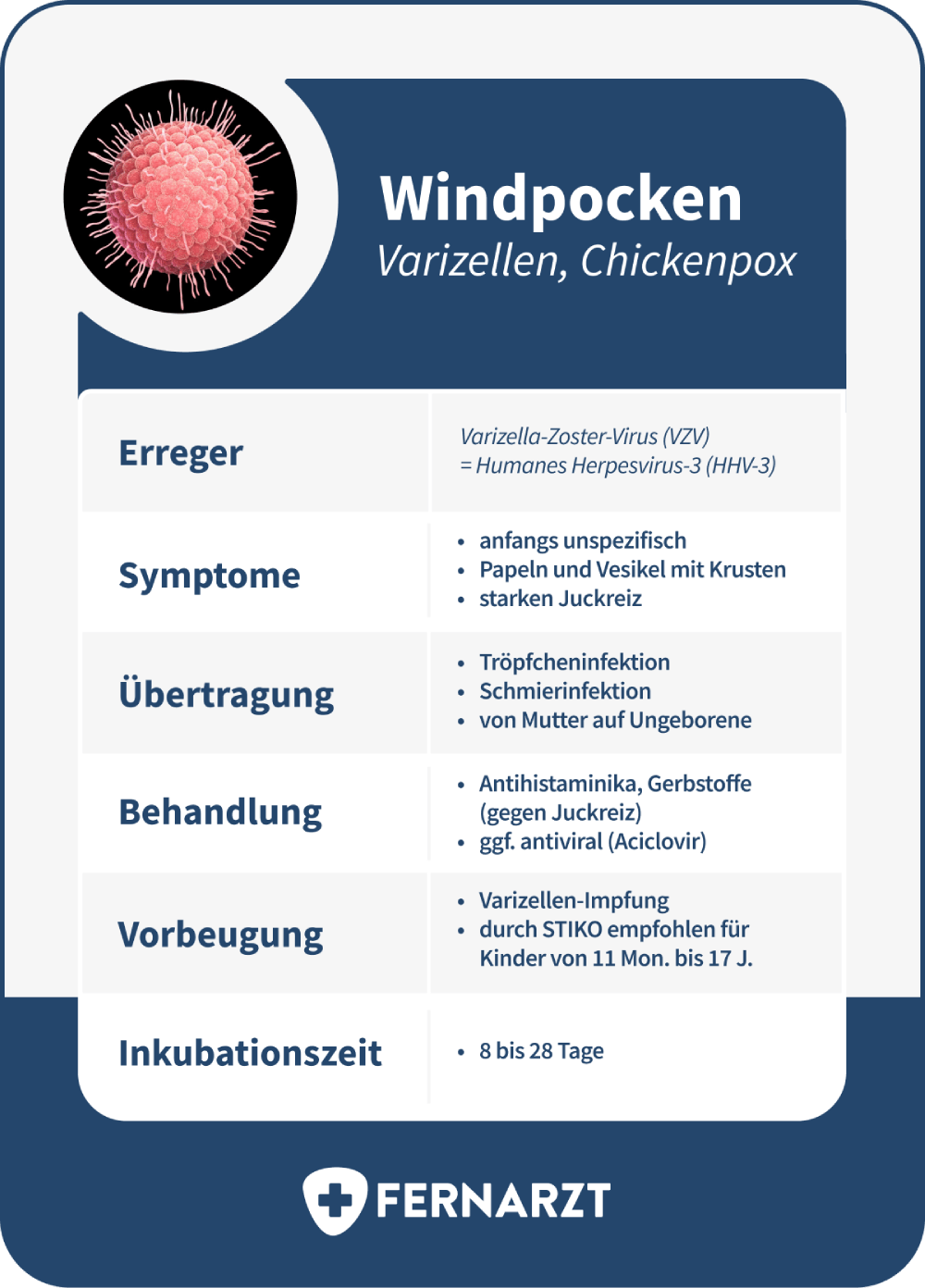 Fakten zu Windpocken: Erreger, Symptome, Übertragung, Behandlung, Vorbeugung und Inkubationszeit.