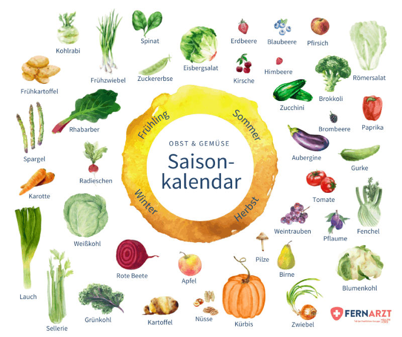 Der Fernarzt-Saisonkalender zeigt, zu welcher Jahreszeit welchen Obst und Gemüse regional verfügbar ist.