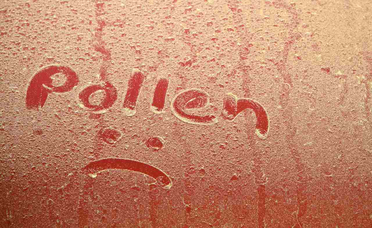Pollenstaub auf Autolack.