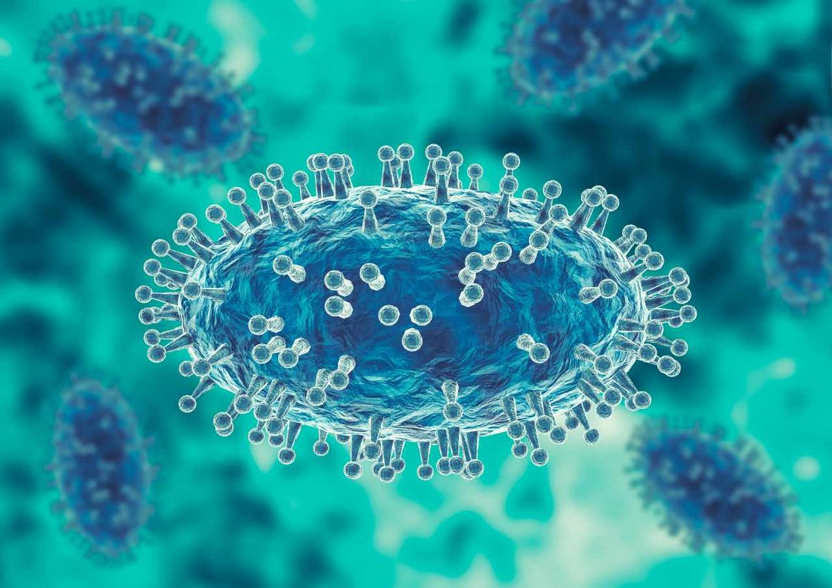 Darstellung eines Affenpocken-Virus bzw. Monkeypox virus (MPXV).