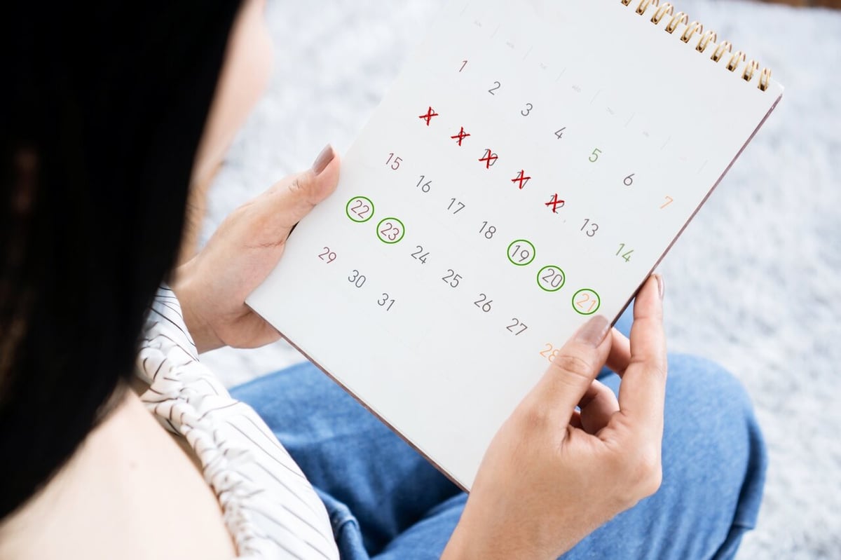 Frau betrachtet Zykluskalender in ihrer Hand.