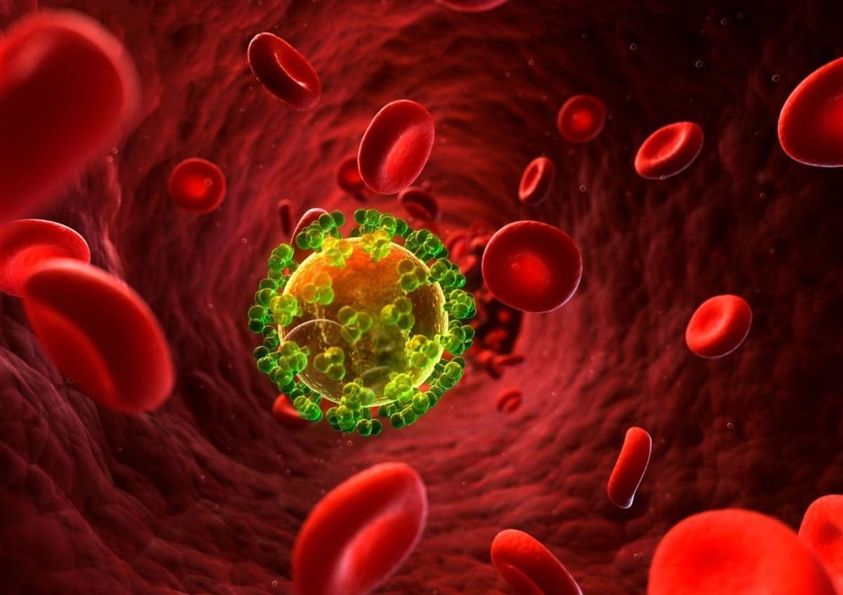 Geschlechtskrankheiten: Grafikmodell HIV.