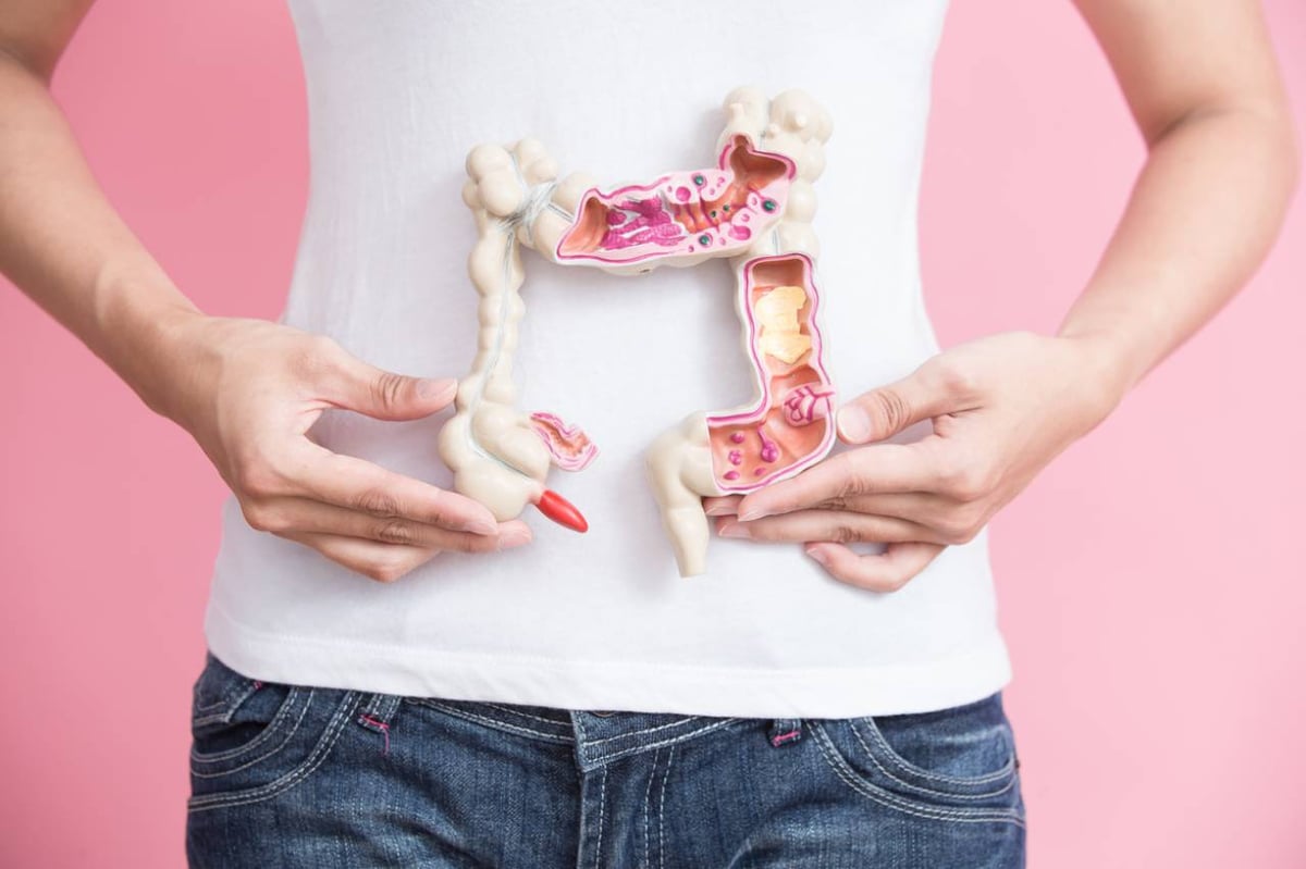 Frau hält Darmmodell vor dem Bauch