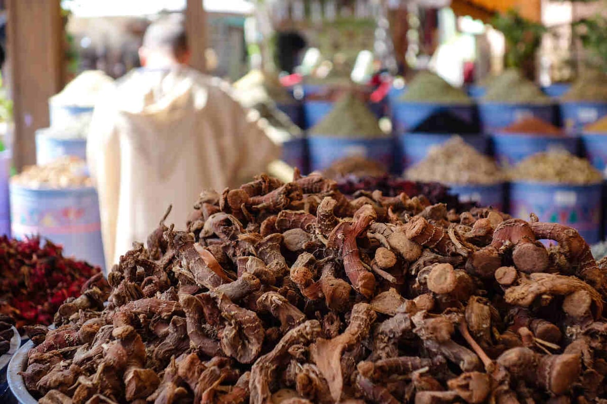 Ein großer Haufen Ginseng-Wurzeln auf einem Markt.