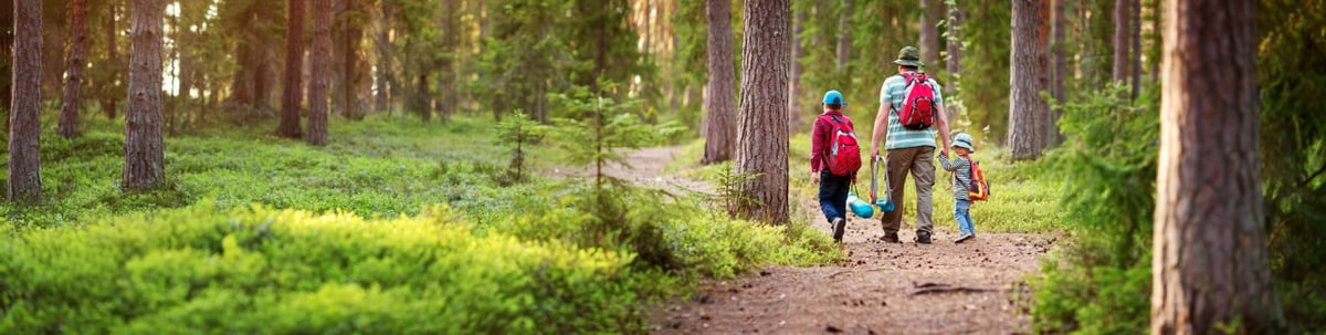 Ein Vater läuft mit seinen Kindern durch den Wald.