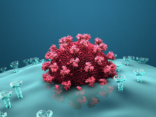 Ein HI-Virus dringt in eine Wirtszelle des Immunsystems ein.