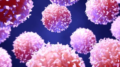 Lymphozyten