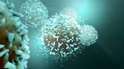T-Lymphozyten