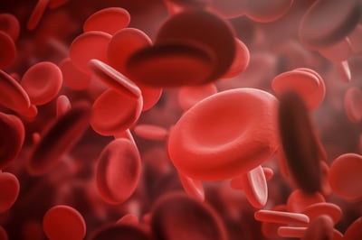 Erythrozyten