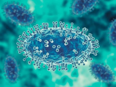 Darstellung eines Affenpocken-Virus bzw. Monkeypox virus (MPXV).