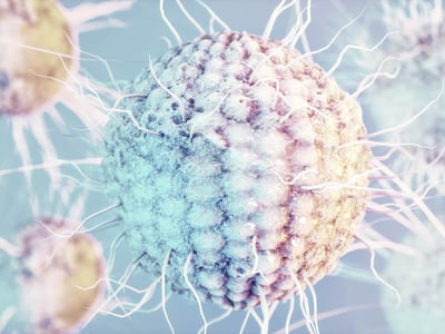 Grafische Darstellung eines Herpesvirus.