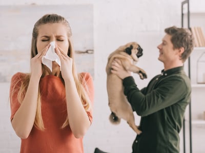 Frau schnäuzt sich in ein Taschentuch, im Hintergrund hält ein Mann einen Mops hoch.