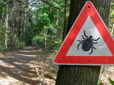 Ein Schild warnt vor Zecken im Wald. Zecken können verschiedene Krankheiten wie beispielsweise Borreliose Übertragen.