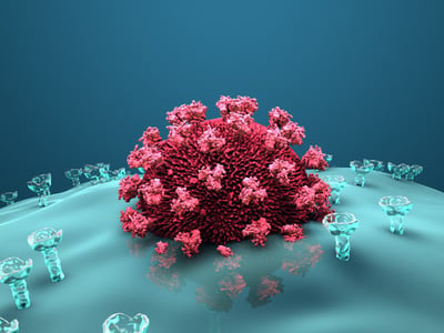 Ein HI-Virus dringt in eine Wirtszelle des Immunsystems ein.