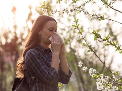 Frau Nase putzend zwischen Baumblüten