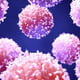 Lymphozyten