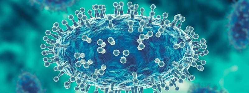 Darstellung eines Affenpocken-Virus bzw. Monkeypox virus (MPXV).