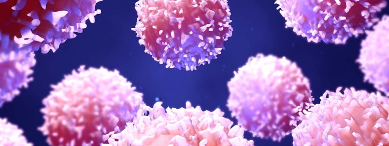 Darstellung von Lymphozyten.