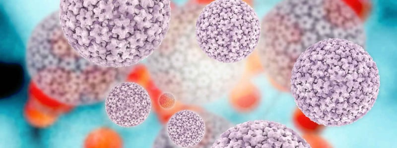 Grafische 3D-Darstellung von humanen Papillomviren (HPV).