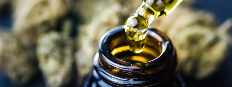 Eine Fokusaufnahme von Cannabisöl. Im Hintergrund sind Cannabisblüten zu sehen.