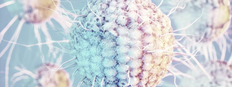 Grafische Darstellung eines Herpesvirus.
