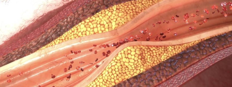 Grafische Darstellung von Blutgefäßen mit Fettablagerungen. Gefäßverengung und Arteriosklerose durch erhöhte Cholesterinwerte.