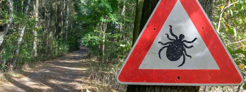 Ein Schild warnt vor Zecken im Wald. Zecken können verschiedene Krankheiten wie beispielsweise Borreliose Übertragen.