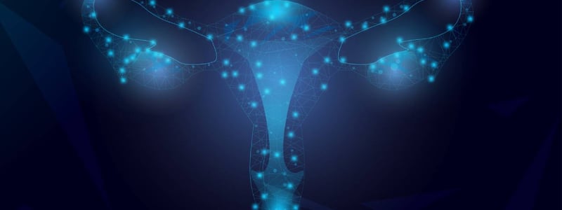 Grafische Darstellung von Gebärmutter (Uterus) und Eileiter (Ovarien).